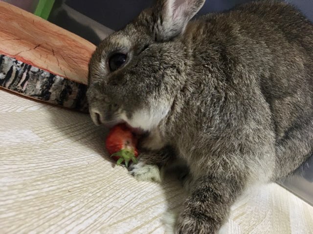 strawberry