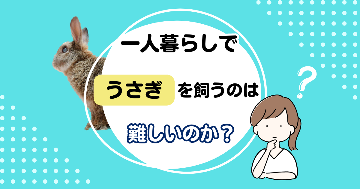 一人暮らしでうさぎを飼う記事のアイキャッチ