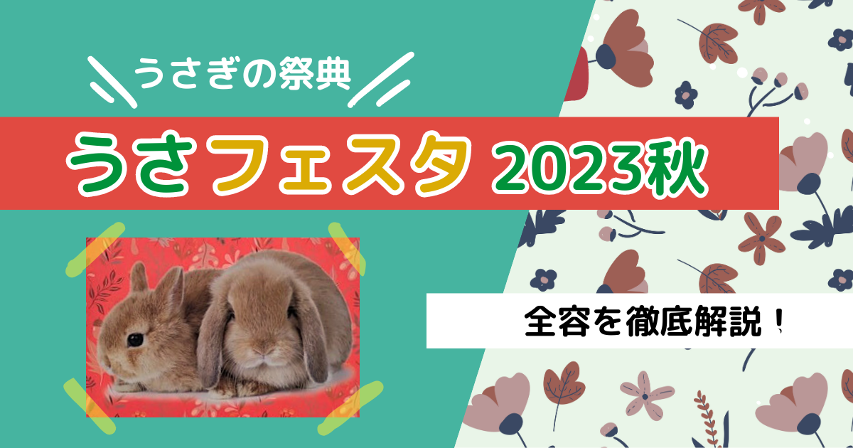 うさフェス2023秋記事アイキャッチ画像