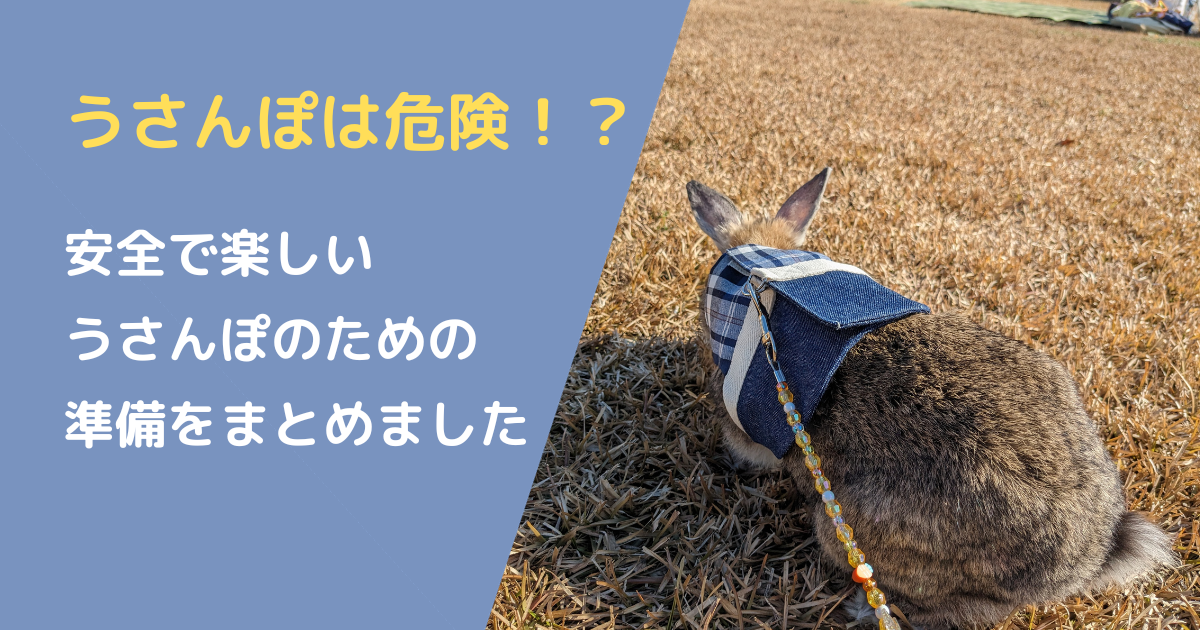 うさんぽ紹介記事アイキャッチ画像